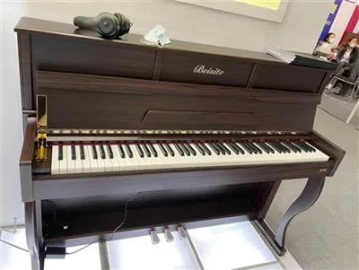 Beisitas eksponuoja instrumentus Alaheim instrumentų parodoje Los Andžele, JAV.